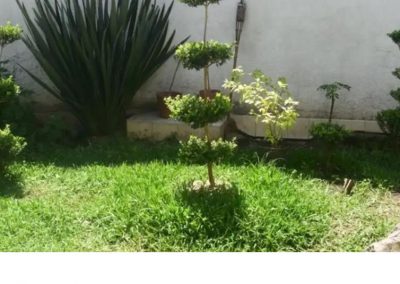 Somos Un Gran Despertar Adicciones Guadalajara